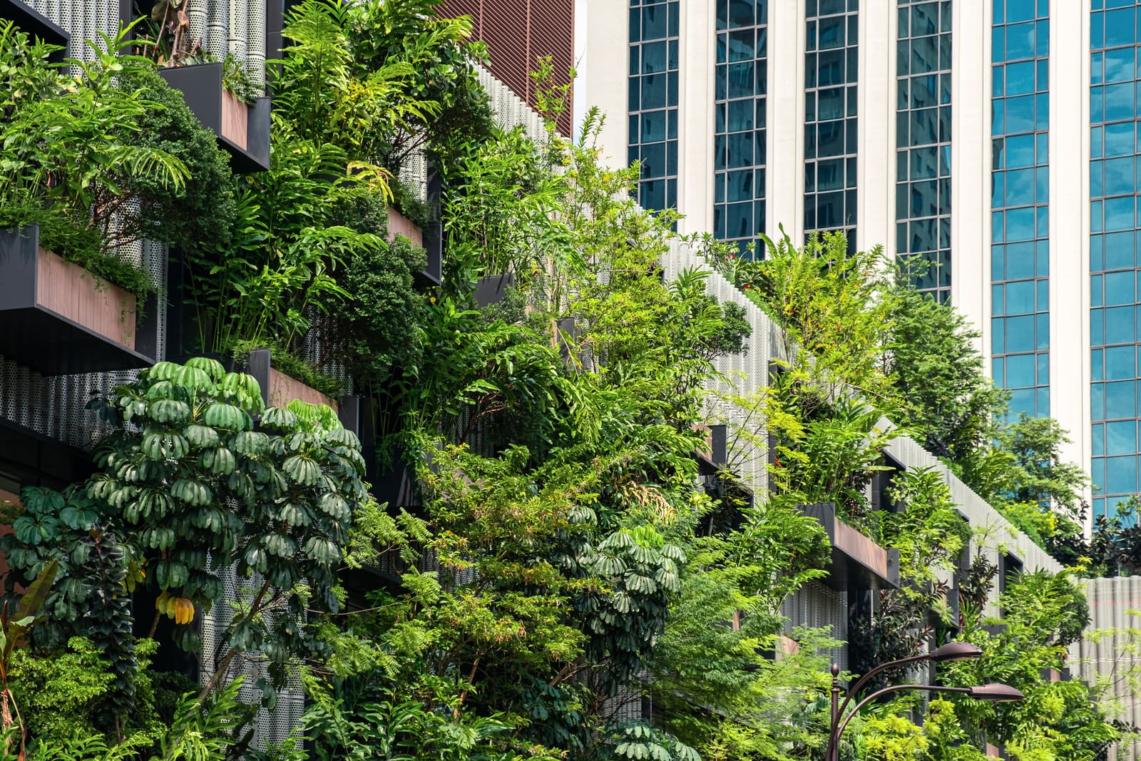 Malaysia's regulatory landscape for electronics manufacturers